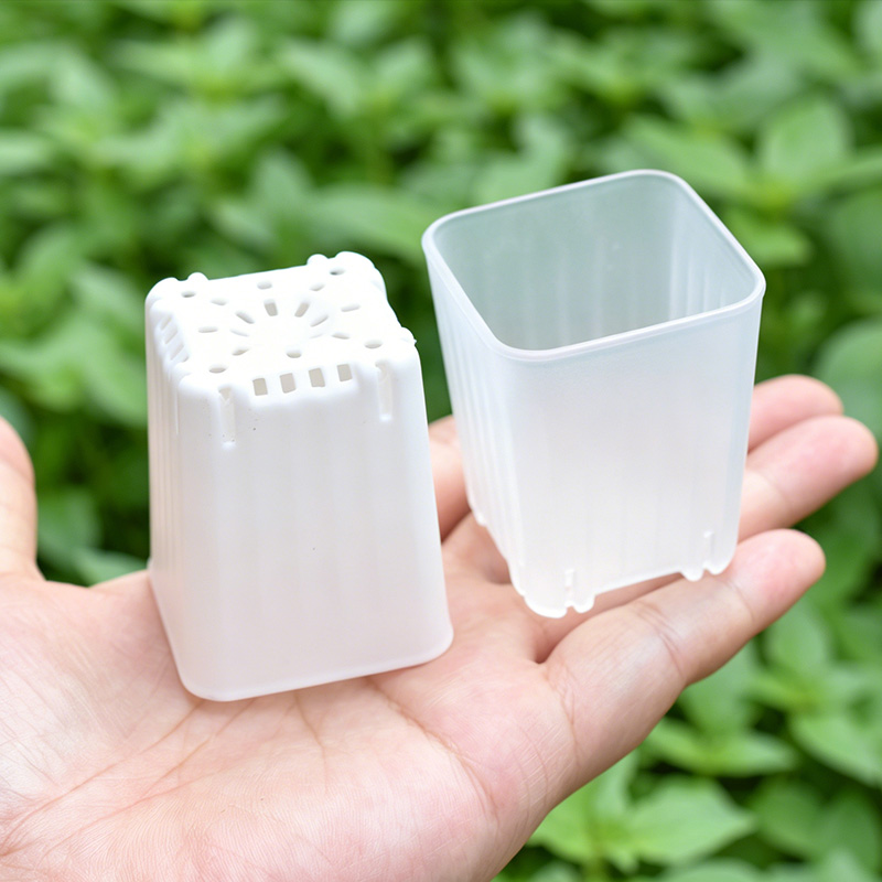 Food Storage Plants - 50-100 szt. 4cm Mini Grube Białe/Przezroczyste