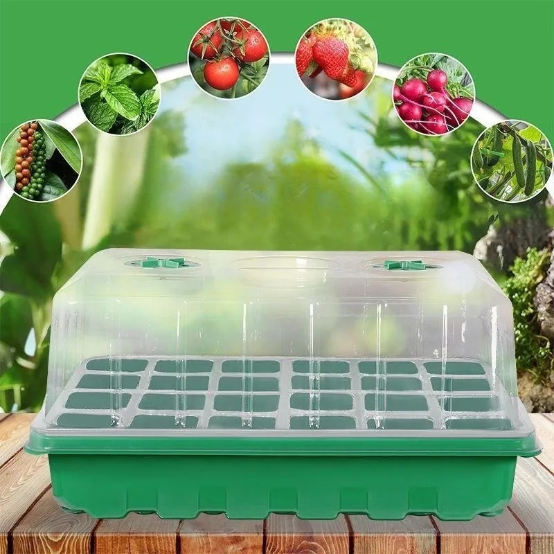 Food Storage Plants - Zestaw 1/5-częściowy do sadzenia sadzonek -