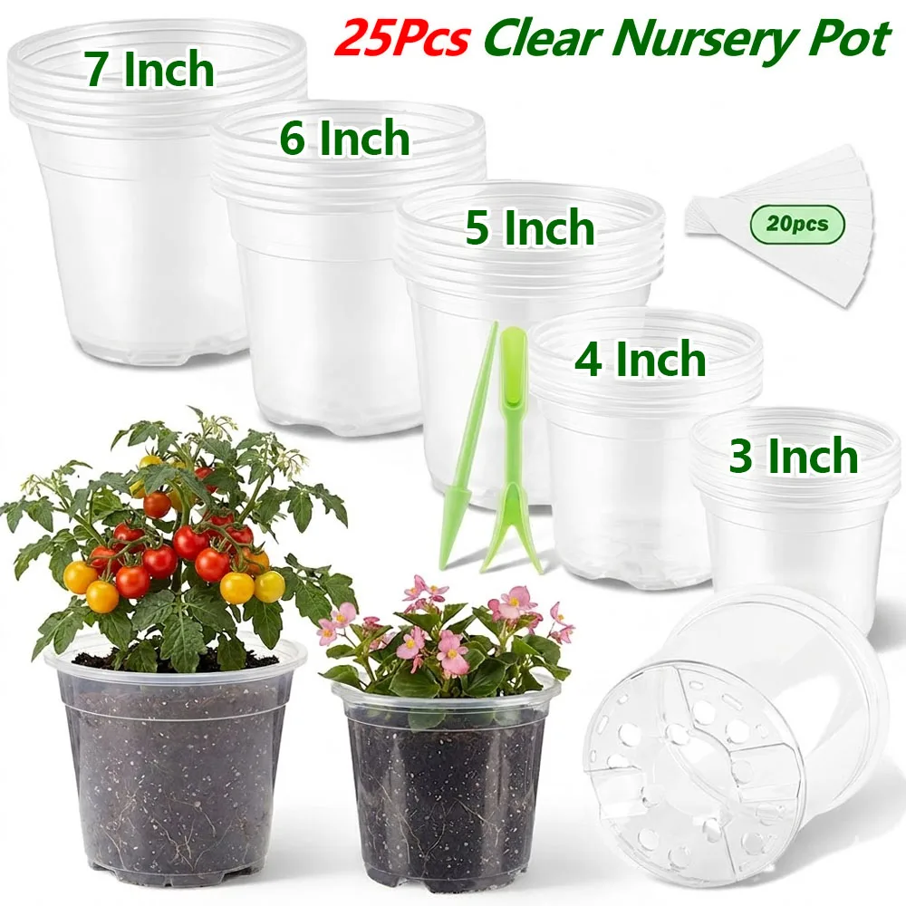 Food Storage Plants - 25 szt. Przezroczyste doniczki do sadzonek