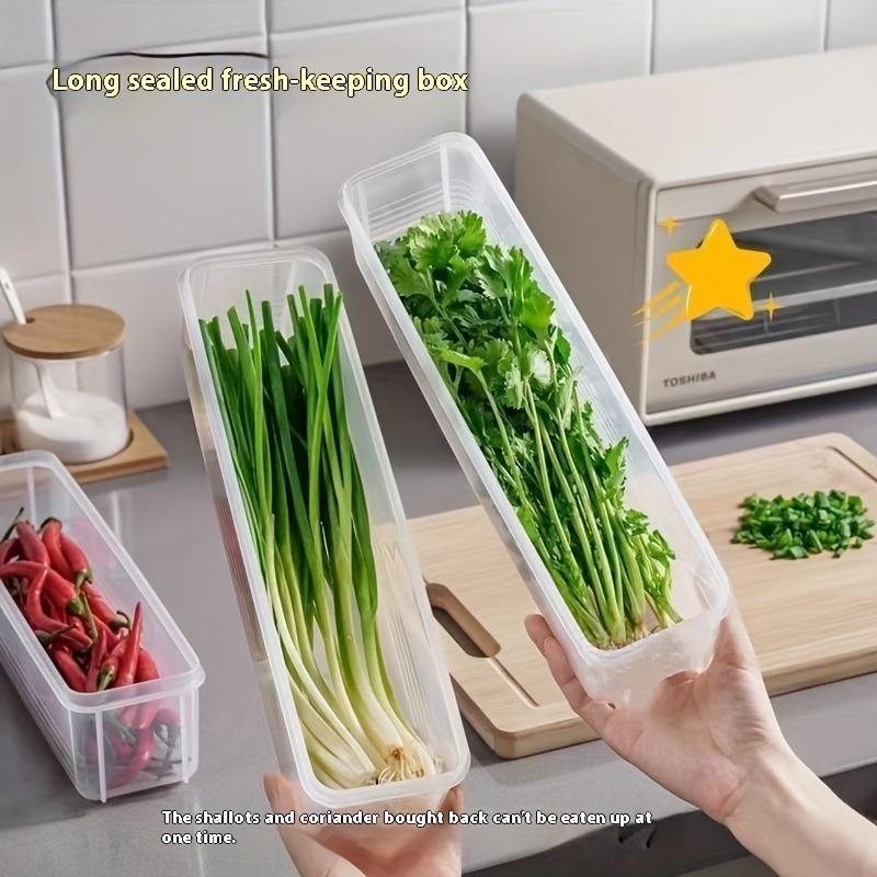Pojemnik do przechowywania żyw – Food Storage For Refrigerator recenzja i cena