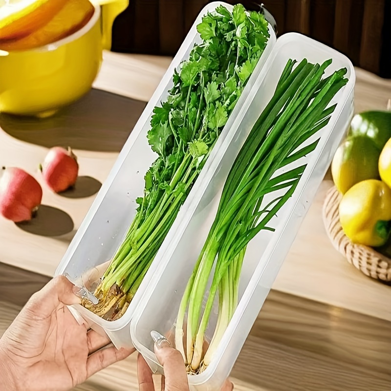 Pojemnik do przechowywania żyw – Food Storage For Refrigerator recenzja i cena