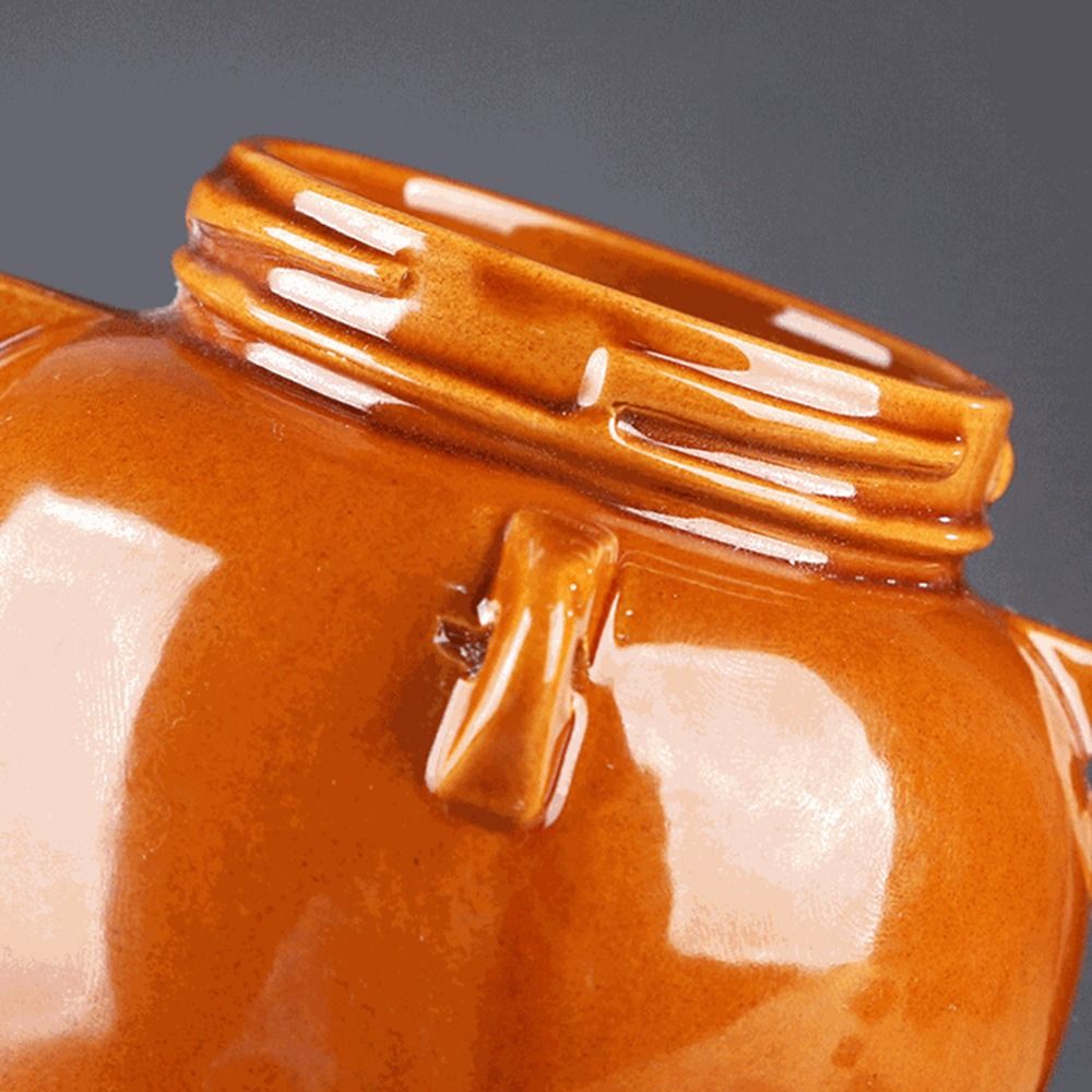 Duży ceramiczny słoik na ostry – Food Storage Jars With Lids recenzja i cena
