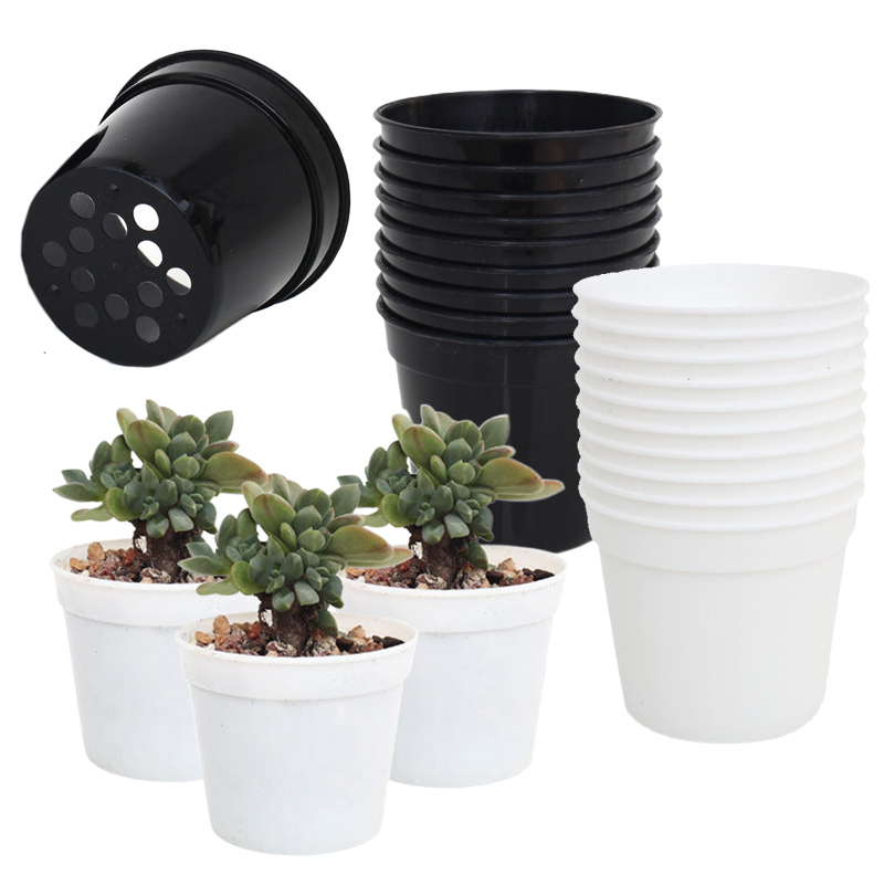 10/20 szt. Okrągłe Plastikowe  – Food Storage Plants recenzja i cena